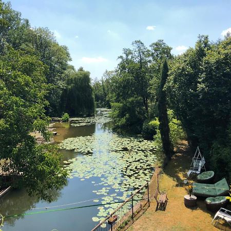 Willa Magnifique Moulin Proche Chablis, Jacuzzi Et Riviere Annay-sur-Serein Zewnętrze zdjęcie