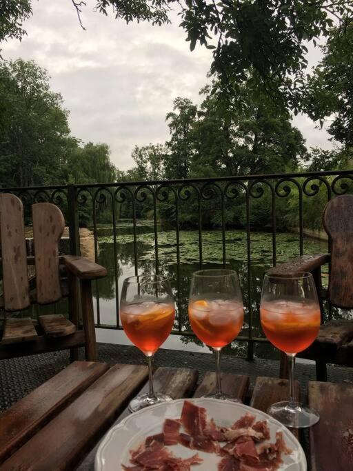 Willa Magnifique Moulin Proche Chablis, Jacuzzi Et Riviere Annay-sur-Serein Zewnętrze zdjęcie