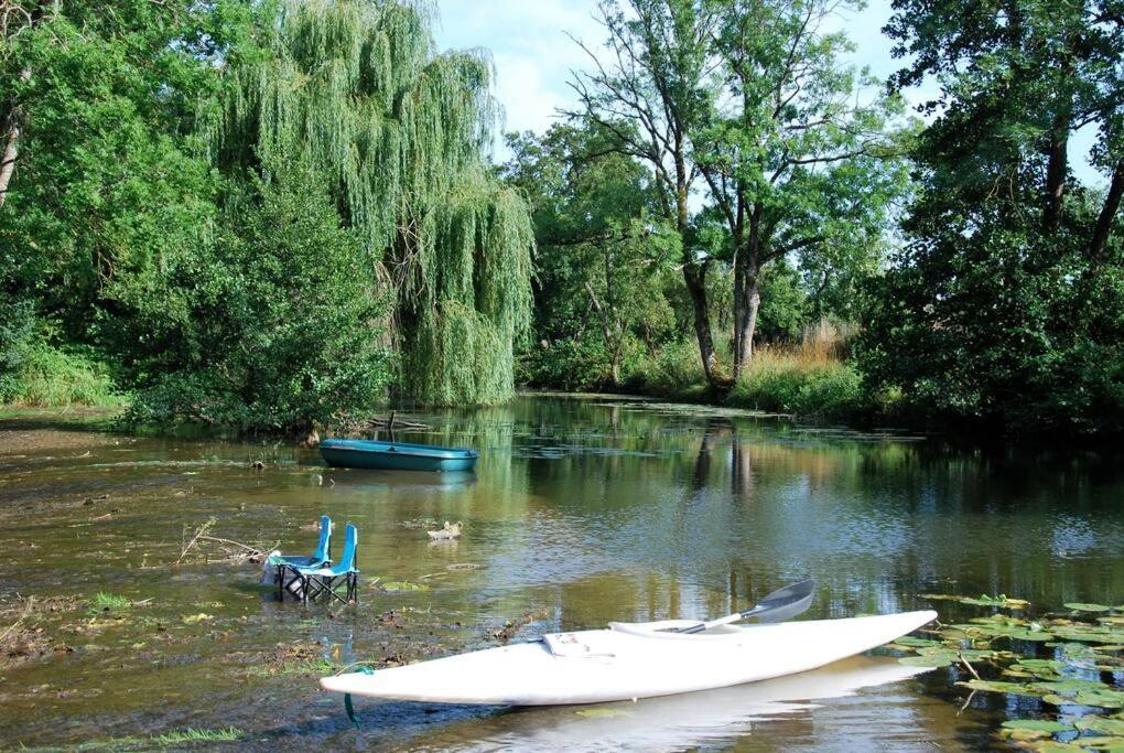 Willa Magnifique Moulin Proche Chablis, Jacuzzi Et Riviere Annay-sur-Serein Zewnętrze zdjęcie