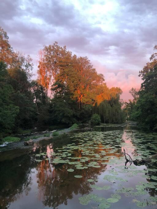 Willa Magnifique Moulin Proche Chablis, Jacuzzi Et Riviere Annay-sur-Serein Zewnętrze zdjęcie