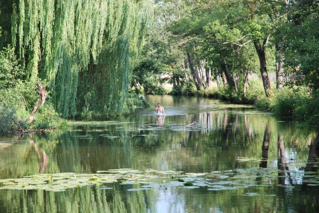 Willa Magnifique Moulin Proche Chablis, Jacuzzi Et Riviere Annay-sur-Serein Zewnętrze zdjęcie