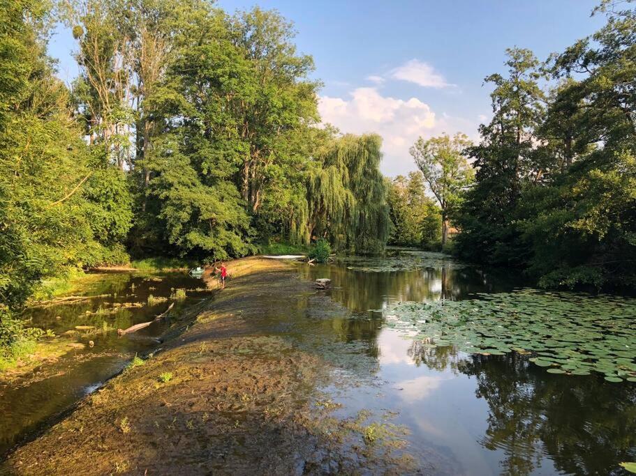 Willa Magnifique Moulin Proche Chablis, Jacuzzi Et Riviere Annay-sur-Serein Zewnętrze zdjęcie